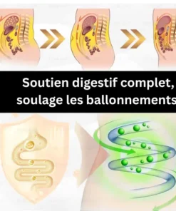 CROAIE® GLP-1 Gouttes Minceur à la Moringa